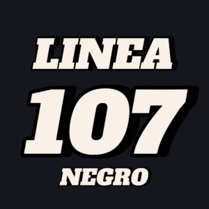 línea 107 negro Rosario Santa Fe