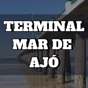 Terminal Mar De Ajó