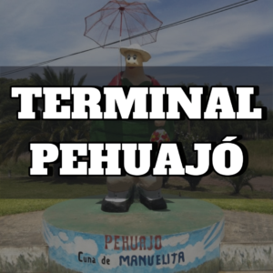 Terminal Pehuajó